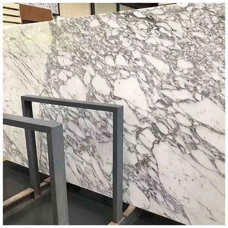 Calacatta Corchia White Marble
