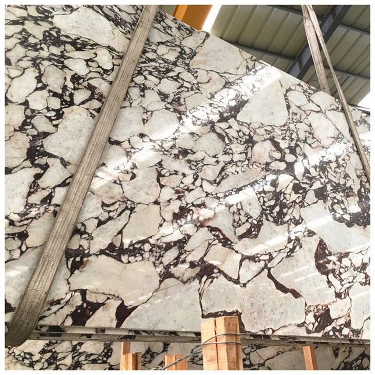 Marble Calacatta Viola