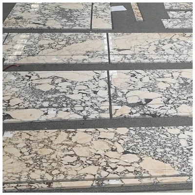 Carreaux de marbre Calacatta Violetta